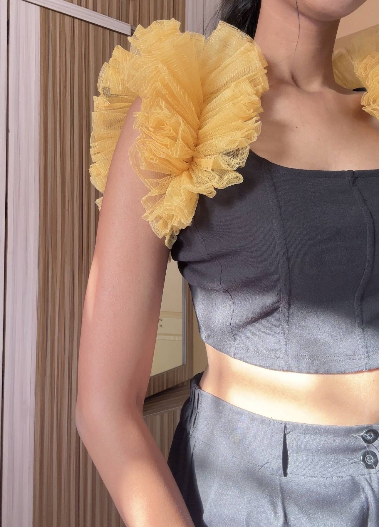 Cream Net Ruffle Sleeves
