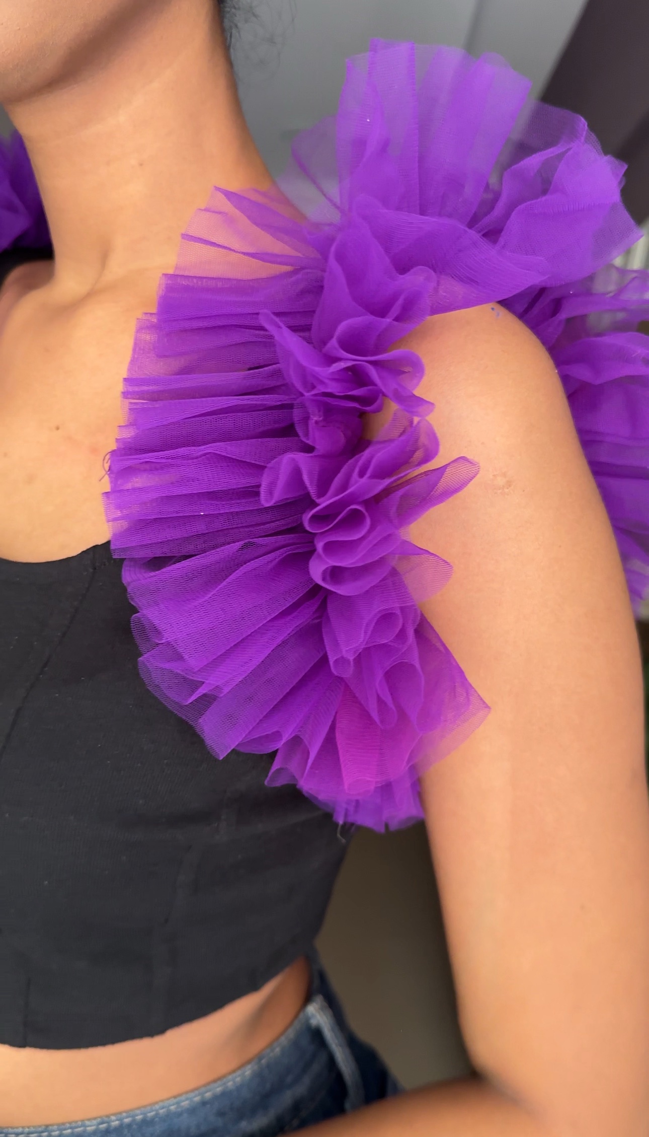 Voilet Net Ruffle Sleeves